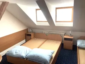 Pronájem ubytování, Desná - Desná III, Mlýnská, 800 m2