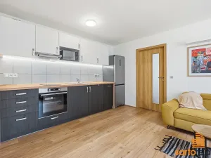 Pronájem bytu 2+kk, Ústí nad Labem, U Městských domů, 54 m2