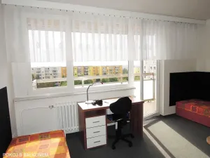 Pronájem pokoje, Brno, Běloruská, 17 m2