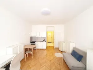 Pronájem bytu 1+kk, Praha - Vinohrady, Mikovcova, 30 m2