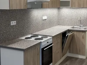 Pronájem bytu 1+kk, Brno - Židenice, Líšeňská, 40 m2