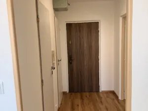 Pronájem bytu 1+1, Horní Bříza, Jedlová, 32 m2