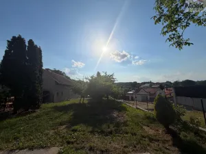 Prodej zahrady, Žerotín, 507 m2
