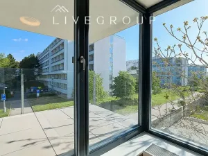 Pronájem bytu 3+kk, Brno, Vinařská, 70 m2