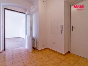 Pronájem bytu 1+kk, Vlčice, 41 m2