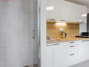 Pronájem atypického bytu, Braškov, Pražská, 20 m2