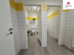 Pronájem komerční nemovitosti, Jihlava, Matky Boží, 151 m2