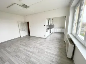 Pronájem bytu 2+1, Horní Litvínov, Vinohradská, 56 m2