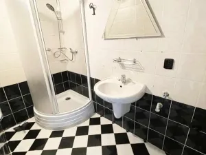 Pronájem bytu 2+1, Horní Litvínov, Vinohradská, 56 m2