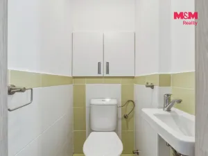 Prodej bytu 3+1, Hradec Králové - Nový Hradec Králové, Selicharova, 98 m2