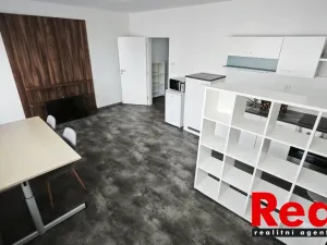 Pronájem bytu 1+kk, Brno, Skorkovského, 30 m2