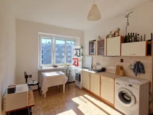 Pronájem bytu 1+1, Olomouc, Starodružiníků, 52 m2