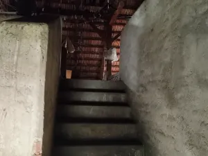 Pronájem ubytování, Miroslav, Česká, 250 m2