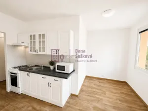 Prodej bytu 1+1, Jindřichův Hradec, sídliště Vajgar, 42 m2