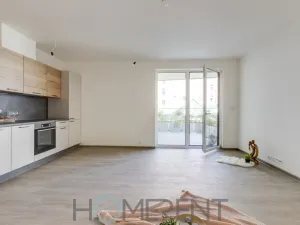 Pronájem bytu 1+kk, Praha, Vyšehradská, 37 m2