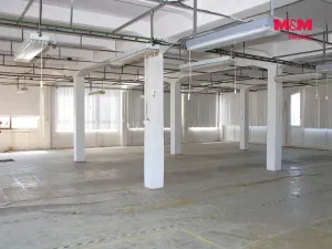 Pronájem skladu, Nová Paka, Kotíkova, 360 m2