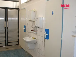 Pronájem obchodního prostoru, Nová Paka, Kotíkova, 330 m2