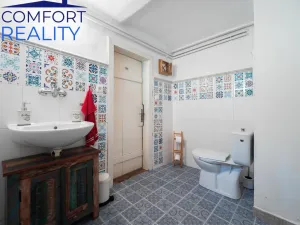 Prodej chalupy, Janov, 308 m2