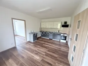 Pronájem bytu 2+kk, Ústí nad Labem, okres ústí nad labem, Resslova, 52 m2