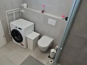 Pronájem bytu 2+kk, Brno, Moravanská, 52 m2