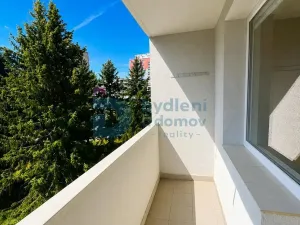 Pronájem bytu 1+1, Neředín, Stupkova, 32 m2