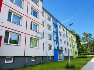 Pronájem bytu 1+1, Neředín, Stupkova, 32 m2