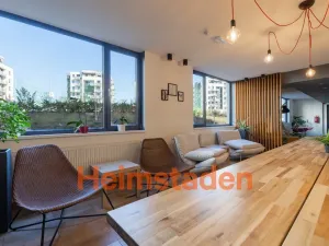 Pronájem bytu 1+kk, Plzeň-Jižní Předměstí, Magisterská, 29 m2