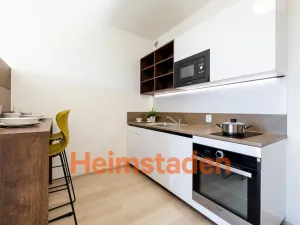 Pronájem bytu 1+kk, Plzeň-Jižní Předměstí, Magisterská, 27 m2