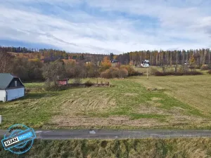 Prodej pozemku pro bydlení, Město Albrechtice, 3681 m2