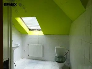 Prodej vícegeneračního domu, Luby - Horní Luby, 250 m2