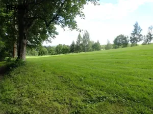 Prodej vícegeneračního domu, Luby - Horní Luby, 250 m2