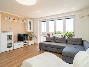 Prodej bytu 2+1, Nová Ves pod Pleší, 93 m2