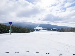 Prodej činžovního domu, Ostružná - Ramzová, 73 m2