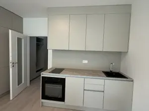Pronájem bytu 1+kk, Praha - Vysočany, Gerstelova, 39 m2