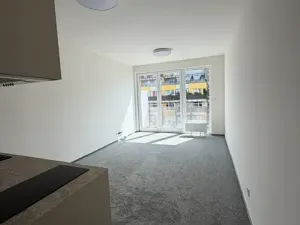 Pronájem bytu 1+kk, Praha - Vysočany, Gerstelova, 43 m2