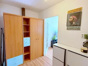 Pronájem bytu 1+1, Praha - Lhotka, Jílovská, 40 m2
