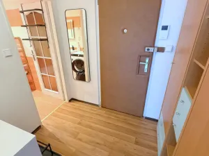 Pronájem bytu 2+kk, Praha - Lhotka, Jílovská, 40 m2
