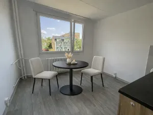 Pronájem bytu 1+1, Litvínov, U Bílého sloupu, 40 m2