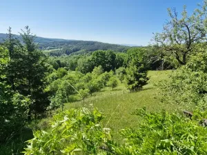 Prodej pozemku pro bydlení, Luhačovice, 17000 m2