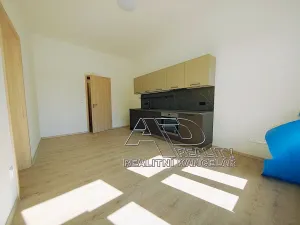 Pronájem bytu 2+1, České Budějovice, 65 m2