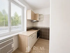 Prodej bytu 1+kk, Louny, Přemyslovců, 23 m2