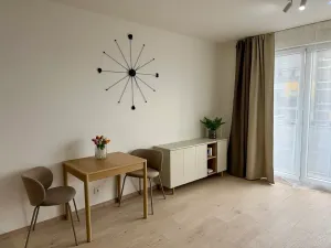 Pronájem bytu 1+kk, Praha - Vysočany, Gerstelova, 36 m2