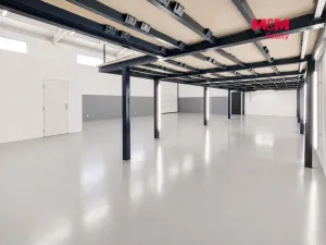 Pronájem obchodního prostoru, Králův Dvůr, Plzeňská, 405 m2