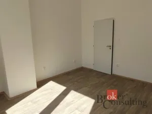 Pronájem bytu 2+kk, Ostrava - Moravská Ostrava, Mlýnská, 63 m2