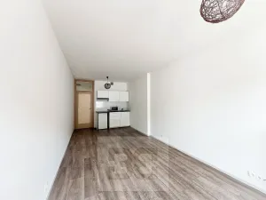 Pronájem bytu 2+kk, Praha - Košíře, Vrchlického, 48 m2
