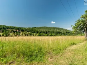 Prodej komerčního pozemku, Braňany - Kaňkov, 23391 m2