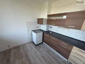 Prodej bytu 2+1, Bílina - Pražské Předměstí, Aléská, 48 m2