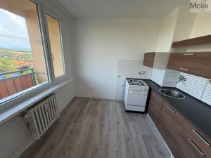 Prodej bytu 2+1, Bílina - Pražské Předměstí, Aléská, 48 m2