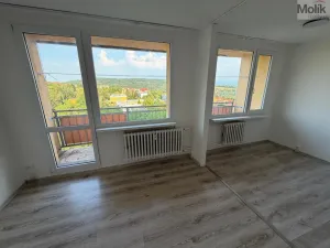Prodej bytu 2+1, Bílina - Pražské Předměstí, Aléská, 48 m2
