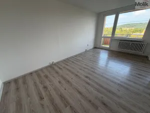 Prodej bytu 2+1, Bílina - Pražské Předměstí, Aléská, 48 m2